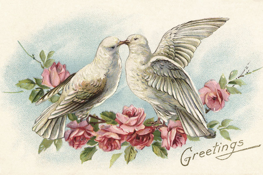 specialoccasions_doves