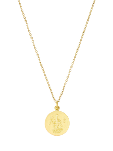 Zodiac Aquarius guld halskæde